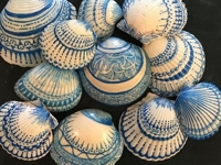 facebook Kellys Brighton Marina Painted Sea Shells